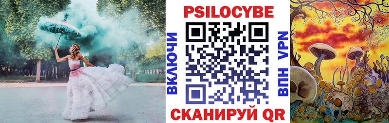 Псилоцибиновые грибы Magic Shrooms  гидра рабочий сайт  Кизляр 